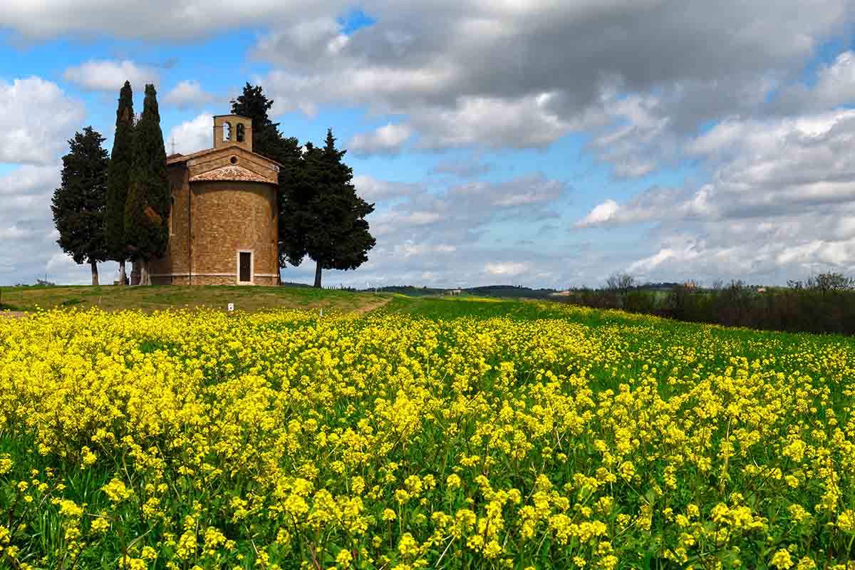 Alberto fornasari campagna toscana con fiori gialli