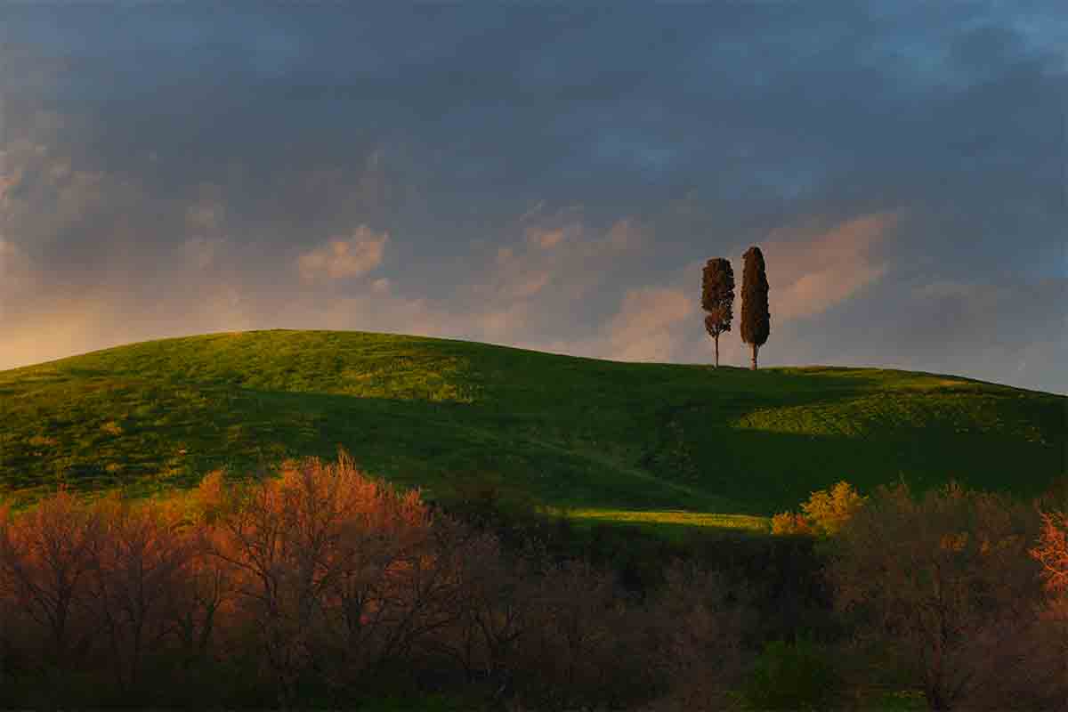 val d'Orcia-alberto fornasari con 2 alberi