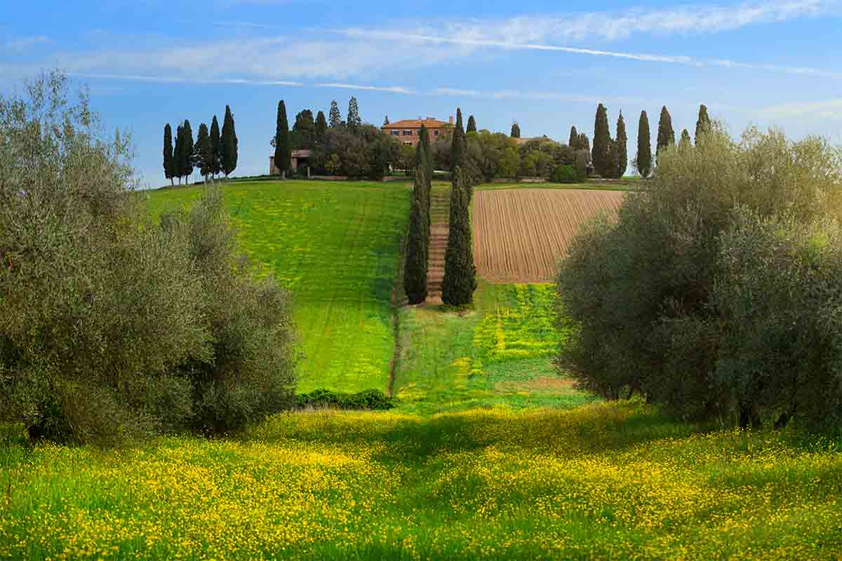 The House of Maximus Decimus Meridius in San Quirico d'Orcia, Poggio Manzuoli in full bloom this spring.