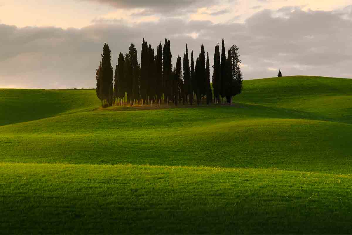 Cipressi-Val d'Orcia-Fornasari