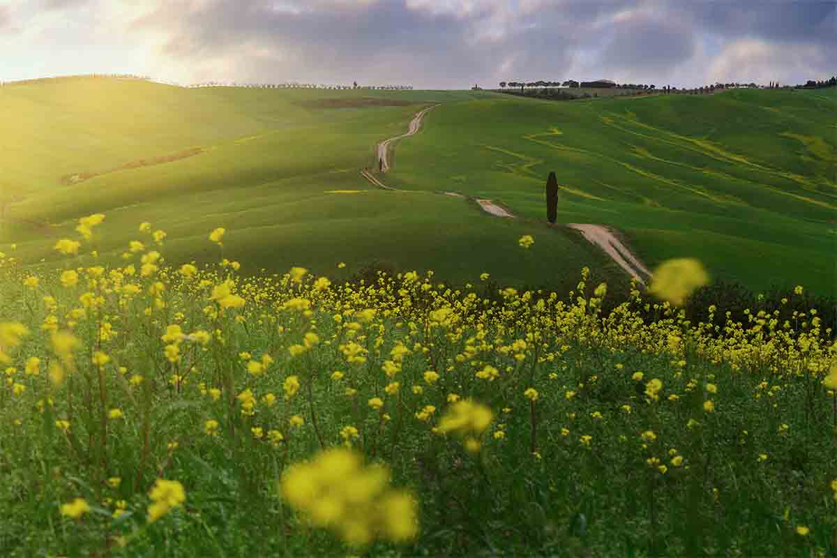 San Quirico_Workshop_SpringbloomsinTuscany_4