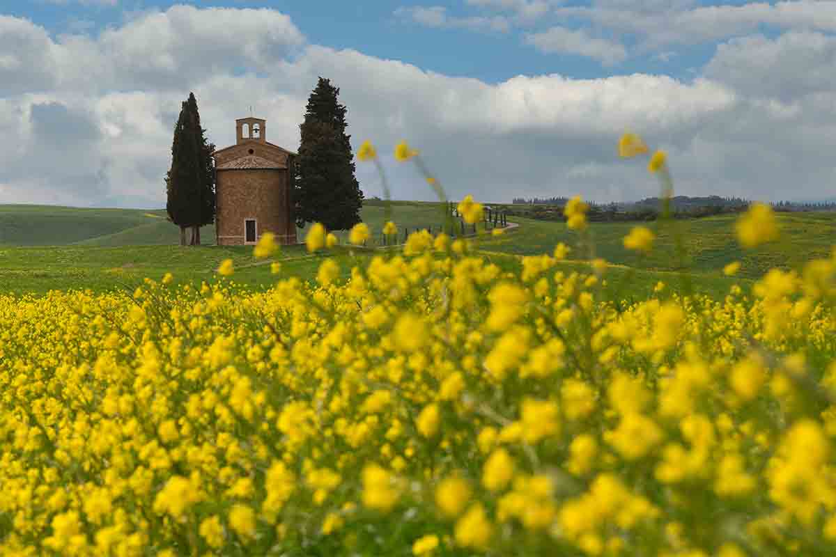 Val d'Orcia-Vitaleta-Fornasari