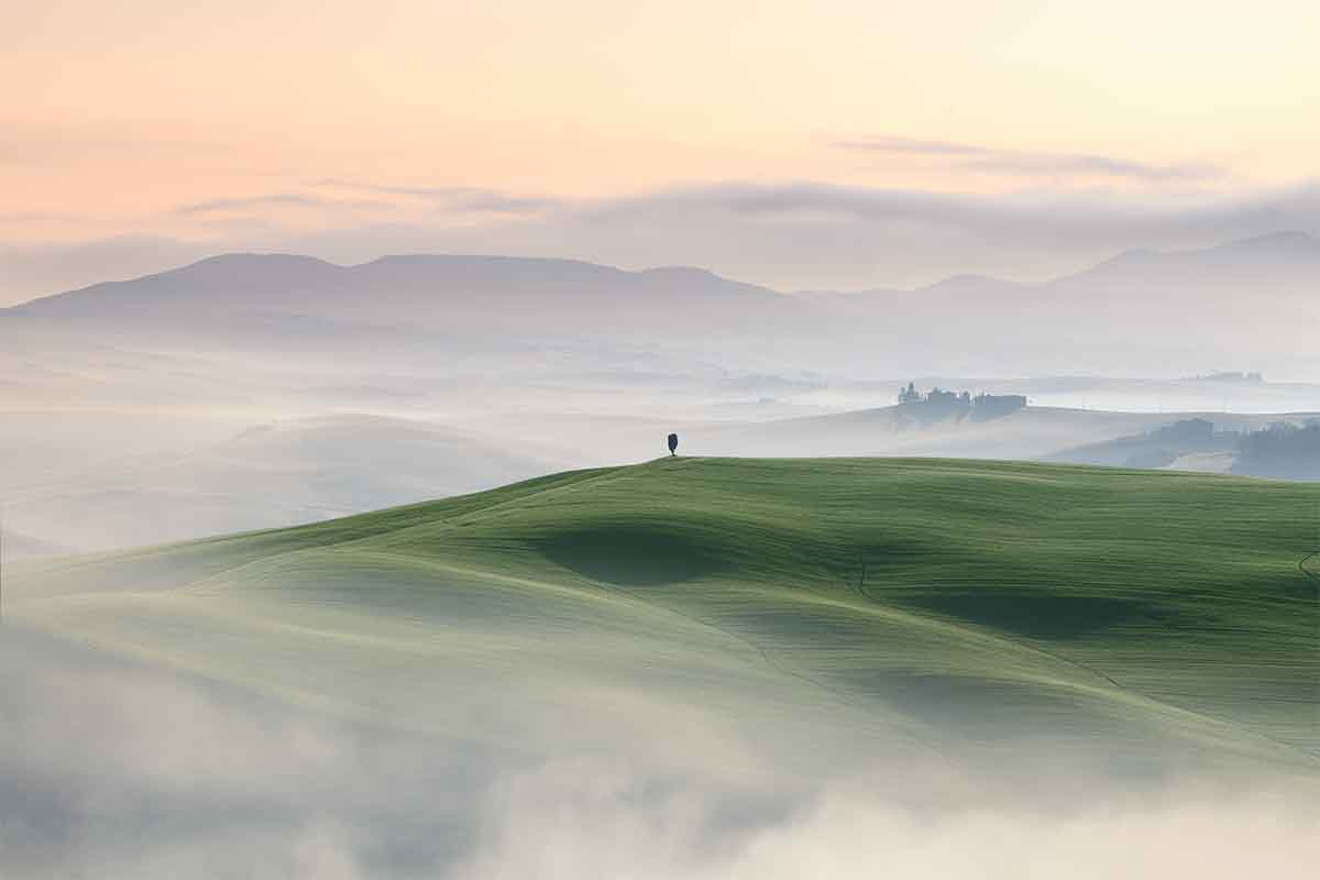 poggio bacoca nebbie con cipresso solitario di pienza