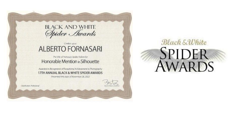 awards-fornasari-alberto