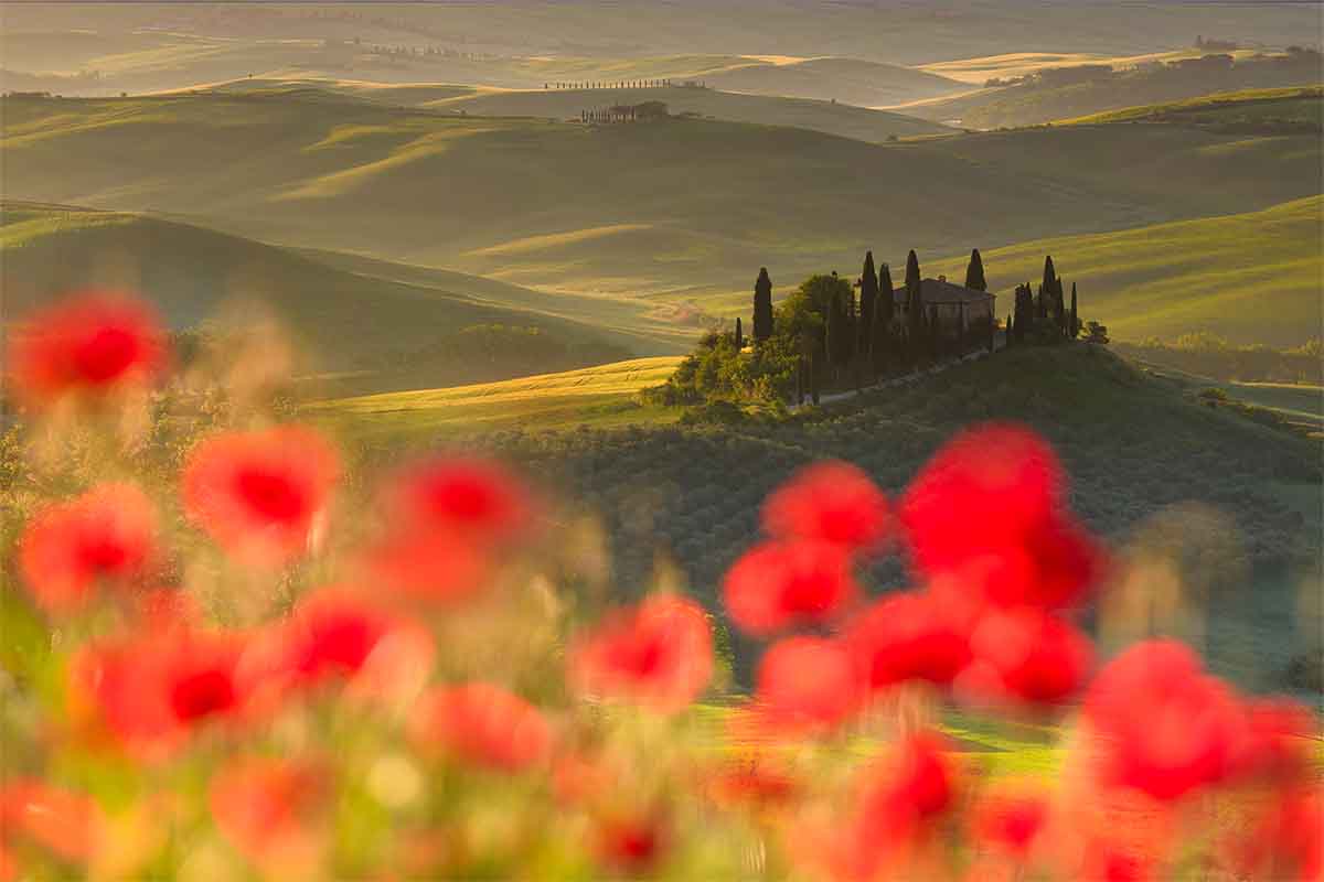 Val d'Orcia-workshop-fotografia-fornasari