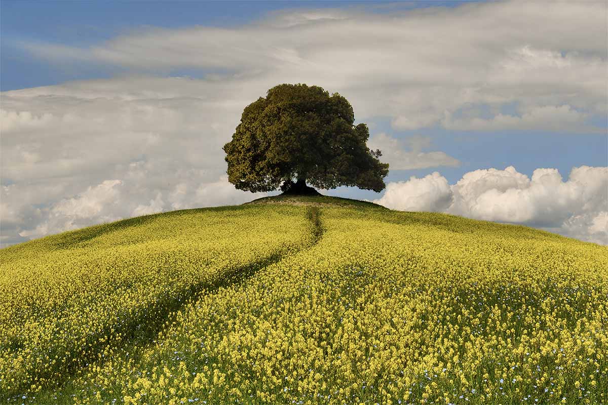 Toscana_val d'Orcia_workshop