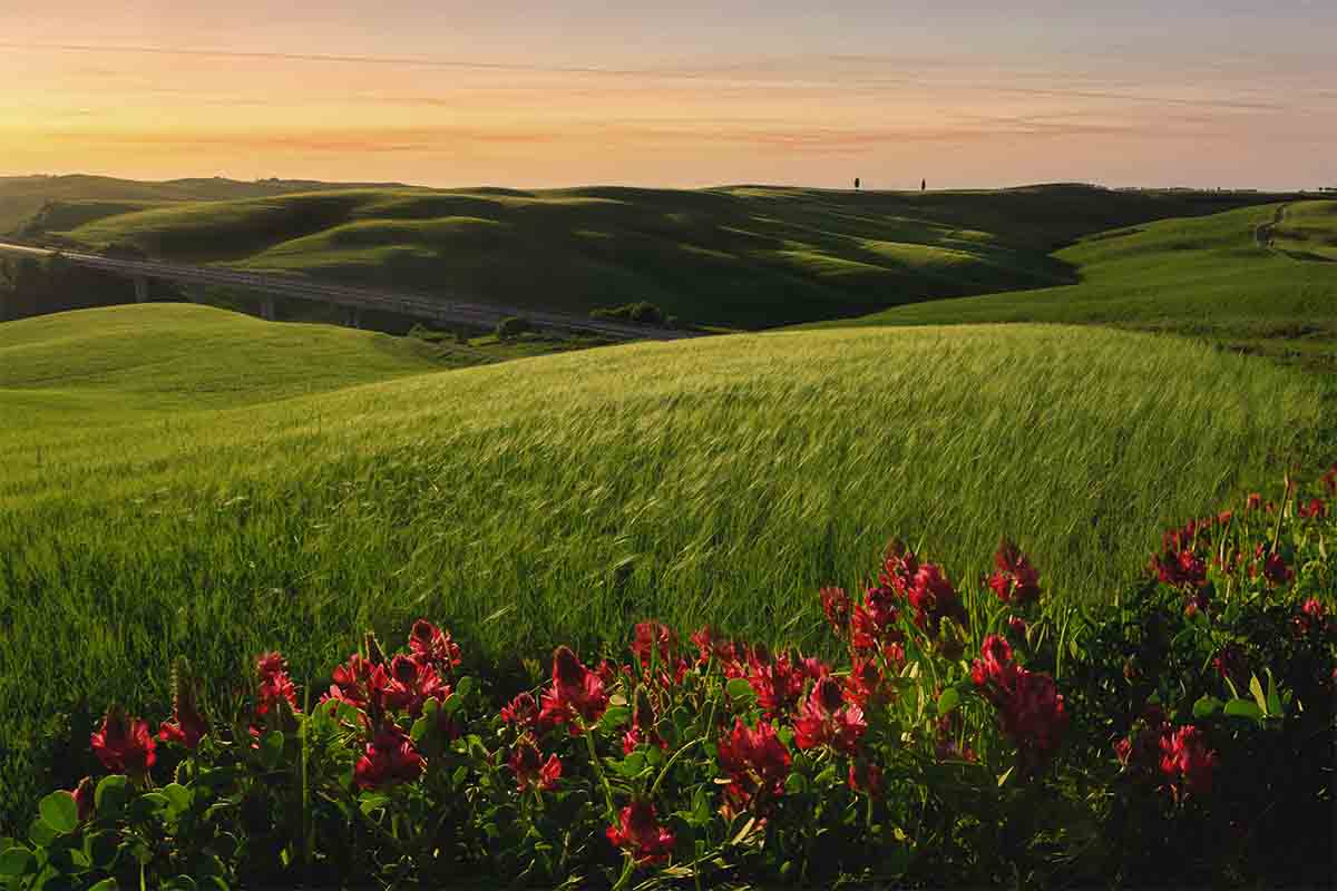 val d'orcia_workshop_toscana_alberto_fornasari